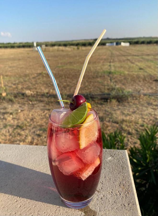 Quinta Da Amoreira Ferreira Do Alentejo Eksteriør billede