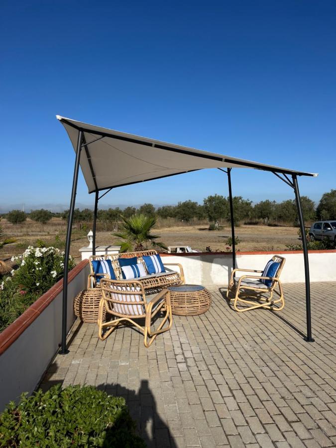 Quinta Da Amoreira Ferreira Do Alentejo Eksteriør billede