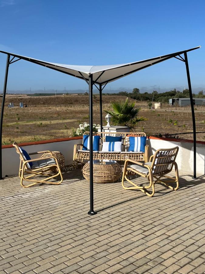 Quinta Da Amoreira Ferreira Do Alentejo Eksteriør billede
