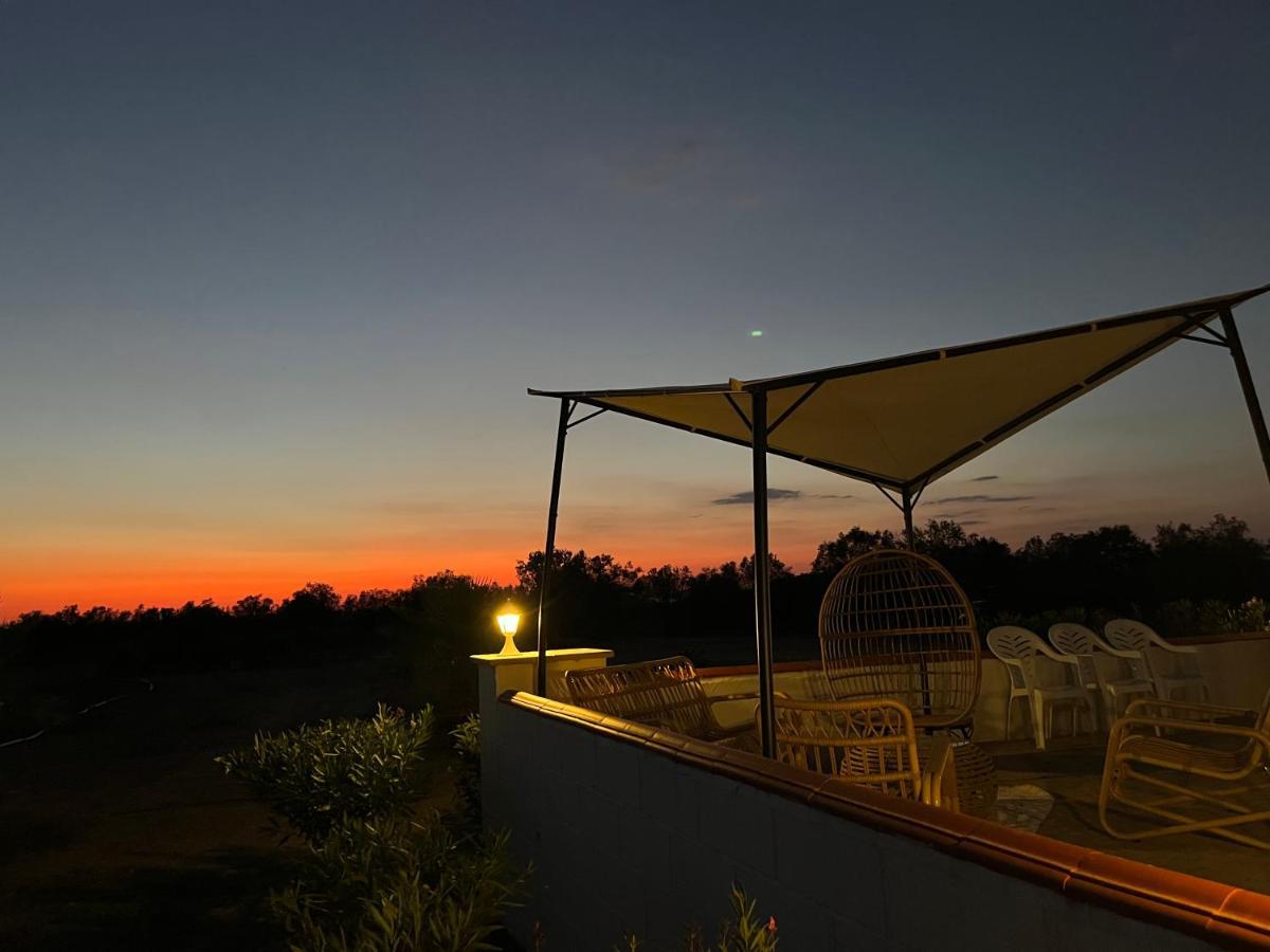 Quinta Da Amoreira Ferreira Do Alentejo Eksteriør billede